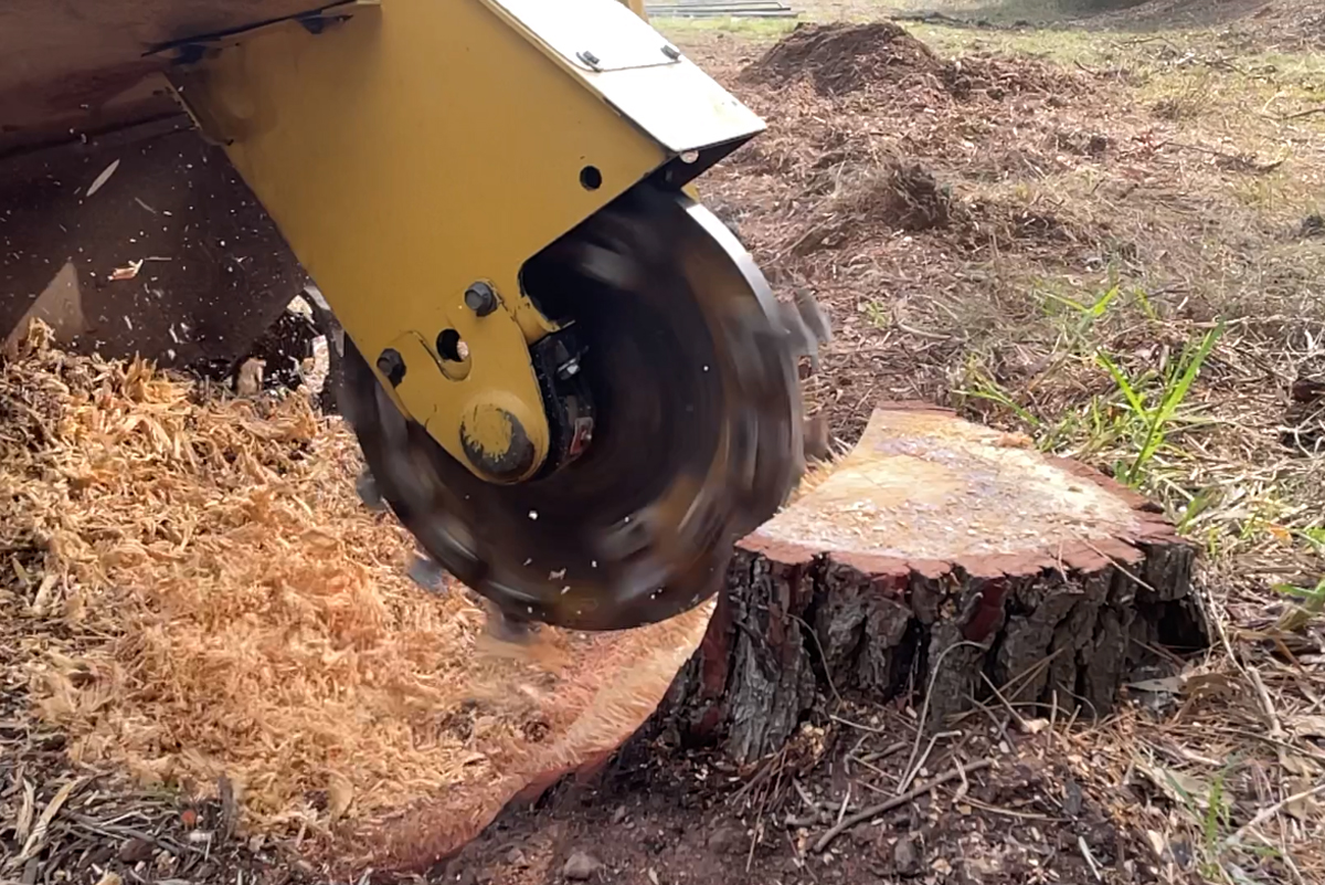 Stump grinding near me, with a stump grinding machine in action