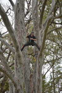 QAA Freestyle climbing competition. Image: TF