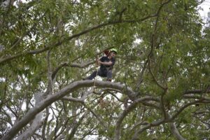 The QAA Freestyle Competition at Tambbourine, Queensland