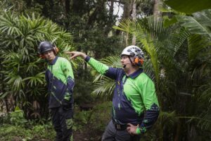 The Chinbible Creek project highlightedthe synergy between human expertise and Husqvarna’s advanced technology. Image: Husqvarna