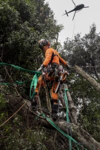 With the right planning,technology, and expertise, even the most complex challenges can be met with integrity and care. Images: Husqvarna