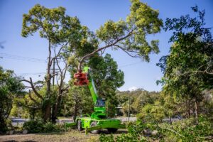 A Merlo Roto 50.26S andWesttech Woodcracker CS750 grapple saw is proving a good investment. Image: Bush to Beach Tree Services/Leeroy Todd Photography