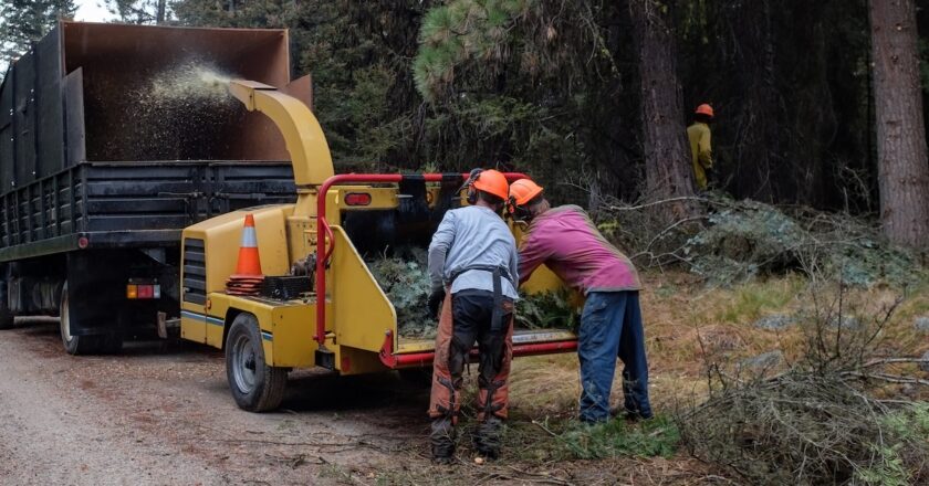 No-cost education and training is one of the most effective ways to keep a business competitive, foster growth and support a team’s development. Image: sjessup/stock.adobe.com