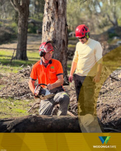 Gain a career in tree care at Wodonga TAFE. Image Wodonga TAFE
