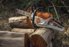 Tools like the MSA 300 C-O have become trusted workhorses in the centenary for ground-based felling and crosscutting. Images: STIHL