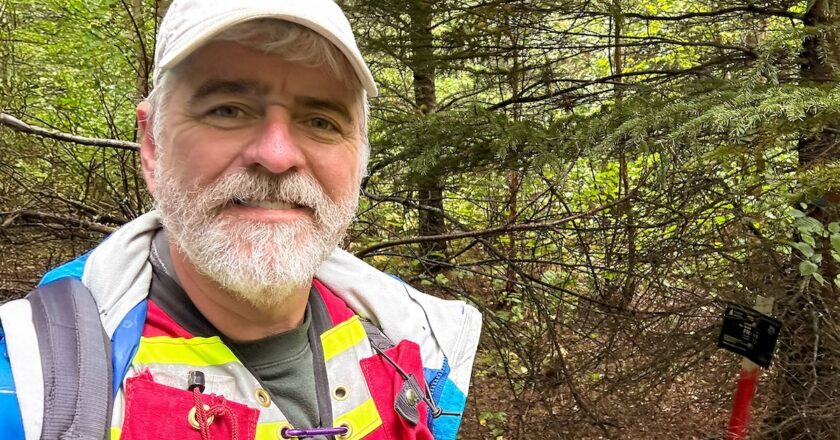 Forest growth and yield models are being redeveloped in an eight-year $5.9 million project led by professor Robert Froese. Image: U of A