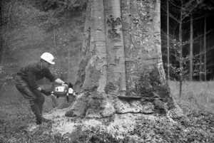 The DNA establishedin STIHL’s early years remains the backbone of the company today. Image: STIHL
