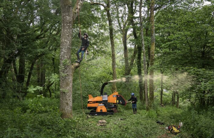 When considering spider tree-care machinery, a free onsite demo, with Monitor bringing the machine, is a good place to start. Images: Monitor Industries