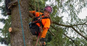 Support for diversity and inclusion in Australian workplaces remains strong. Image: CatalnIlie/stock.adobe.com