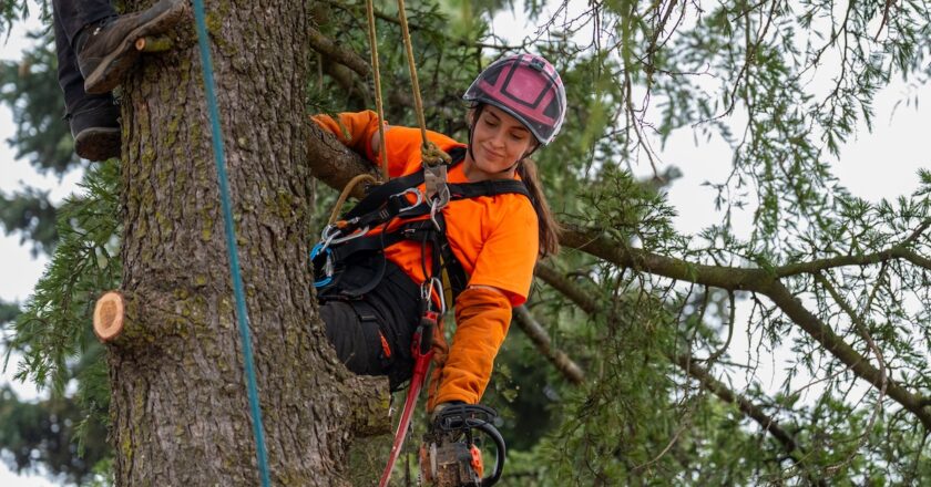Support for diversity and inclusion in Australian workplaces remains strong. Image: CatalnIlie/stock.adobe.com