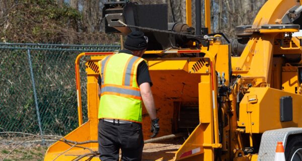 Start expanding your operations, revenue or market share with this guide. Image: Victor/stock.adobe.com