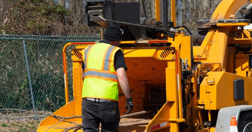 Start expanding your operations, revenue or market share with this guide. Image: Victor/stock.adobe.com