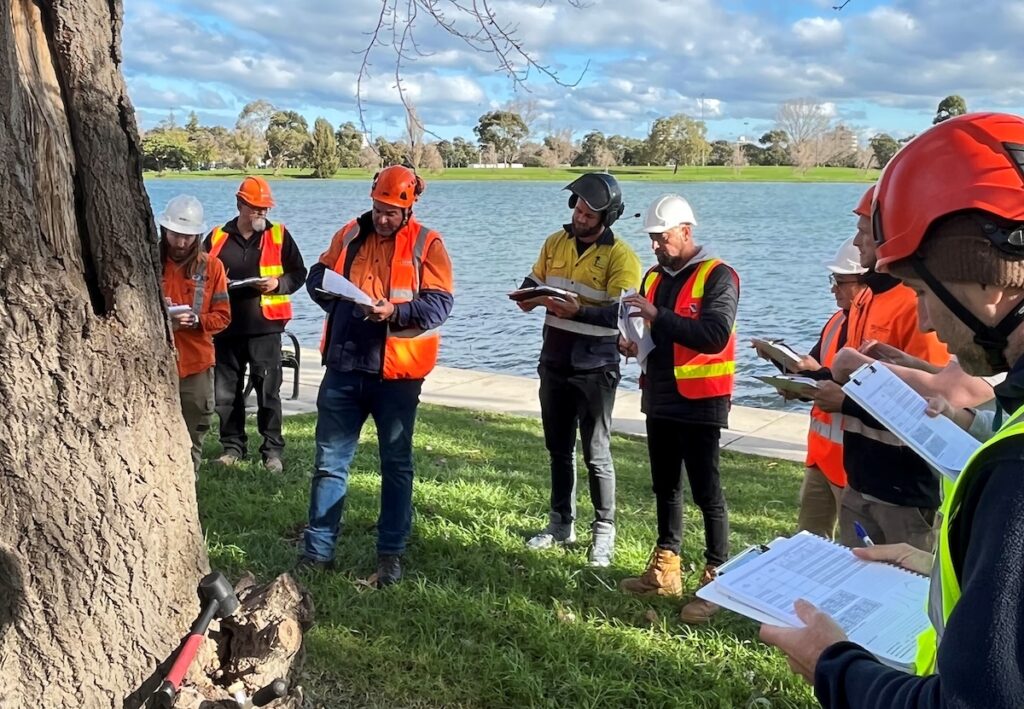 Five courses are open for the new TRAQ 3.0, which has a seven-year expiry. Image: Arboriculture Australia