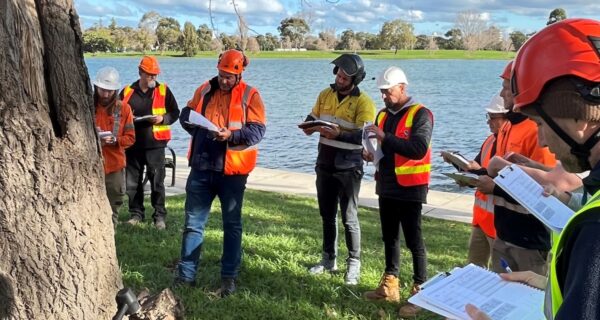 Five courses are open for the new TRAQ 3.0, which has a seven-year expiry. Image: Arboriculture Australia