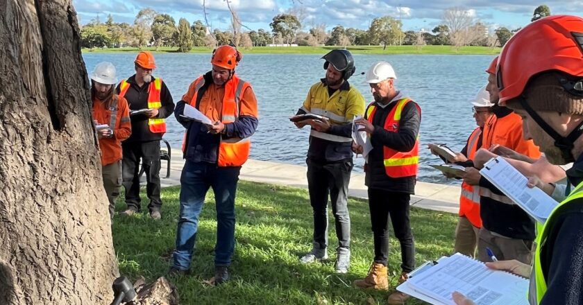 Five courses are open for the new TRAQ 3.0, which has a seven-year expiry. Image: Arboriculture Australia