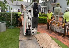 Spider lifts can go into tight areas. Arborists need one. Image: Chandler's Tree Services