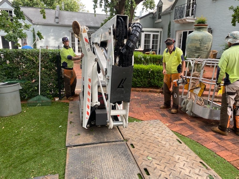 Spider lifts can go into tight areas. Arborists need one. Image: Chandler's Tree Services