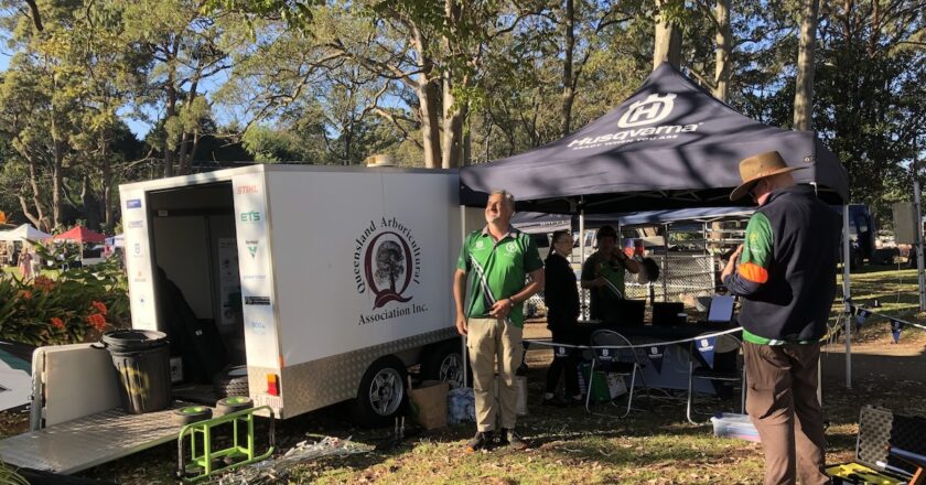 The QAA will continue its aim to strengthen standards, expand access to professional education, and bridge the gap between qualified arborists and the post-storm communities that rely on them. Image: TF