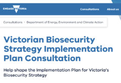 Over 60 stakeholders from government, industry, Traditional Owner Corporations, and community groups co-designed the Biosecurity Strategy Implementation Plan. Image: Engage Victoria