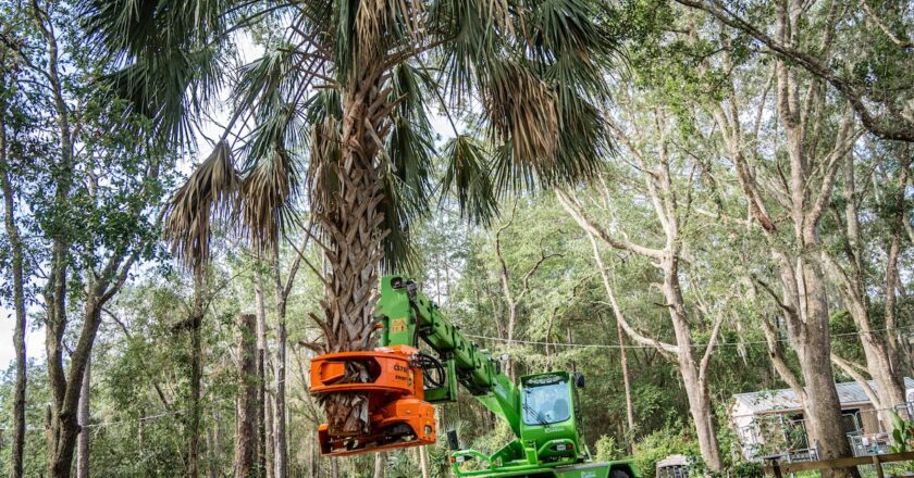 Telehandlers offer the lifting capacity of a crane, the manoeuvrability of a loader, and the precision of a material handler in one machine. Image: Merlo
