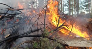 A new study shows emissions from intense above‑ground Large forest fires are overestimated in fire databases. Image: Tamara Sushko/Stock.adobe.com