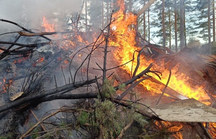 A new study shows emissions from intense above‑ground Large forest fires are overestimated in fire databases. Image: Tamara Sushko/Stock.adobe.com