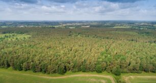 Bagots Park Wood is being designed from the ground up to support nature recovery and join up with existing nearby woodland. Image: Forestry England/Crown copyright