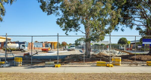 Large trees can complicate development, while removing them can increase a site’s potential. Protecting against vandalism is a silent war. Image: Doubledee/stock.adobe.com