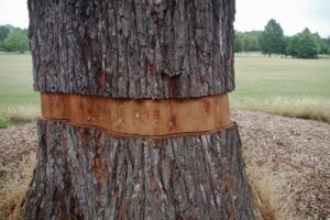 Modern vandalism bears little resemblance to cultural artefacts and often results in long-term damage. Prevention is a silent war. Image: T/stock.adobe.com