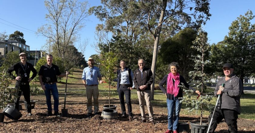 City of Casey Mayor Stefan Koomen and Councillors Scott Dowling, Gary Rowe and Kim Ross with members of Council’s City Greening team. replanting after tree removal. Image: City of Casey