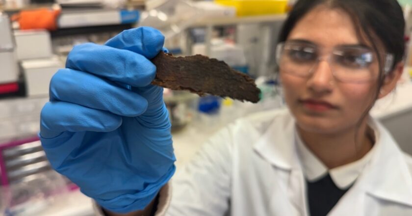PhD researcher Pallavi Saini holding tree bark in an RMIT University laboratory. Image: Will Wright, RMIT University