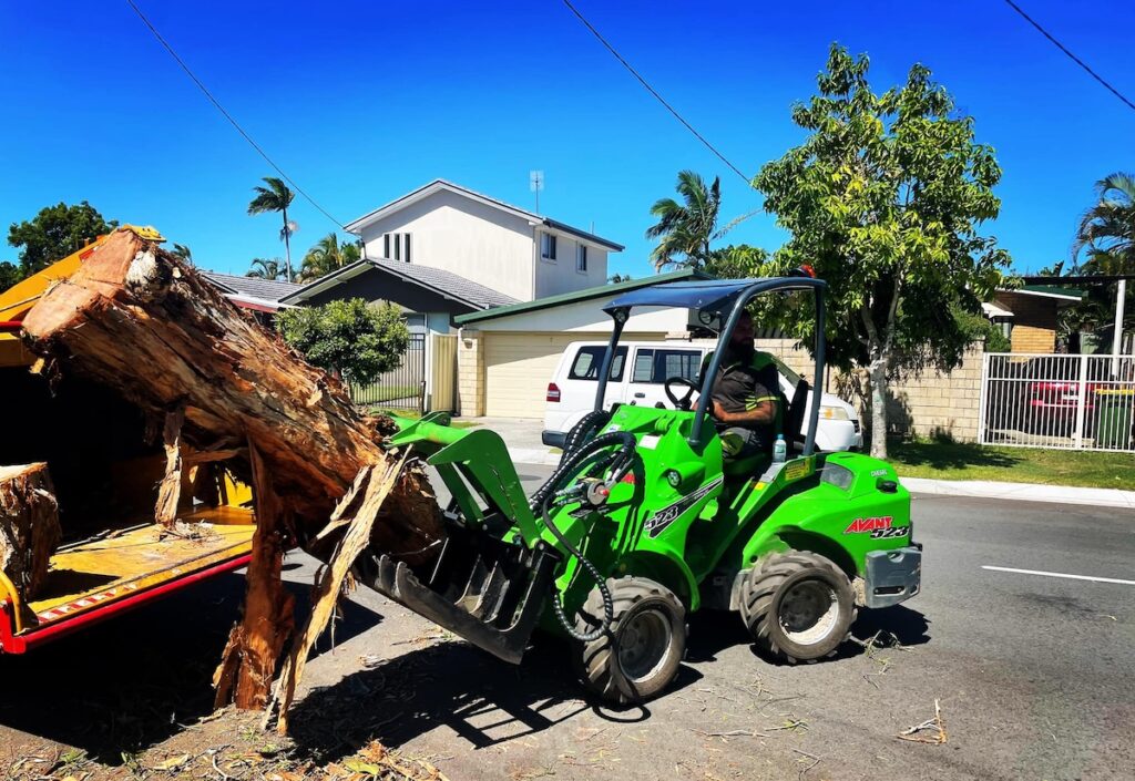 Arborists and landowners are turning to mechanised solutions for preparing of the storm-season workload. Image: Askew Trees