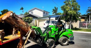Arborists and landowners are turning to mechanised solutions for preparing of the storm-season workload. Image: Askew Trees