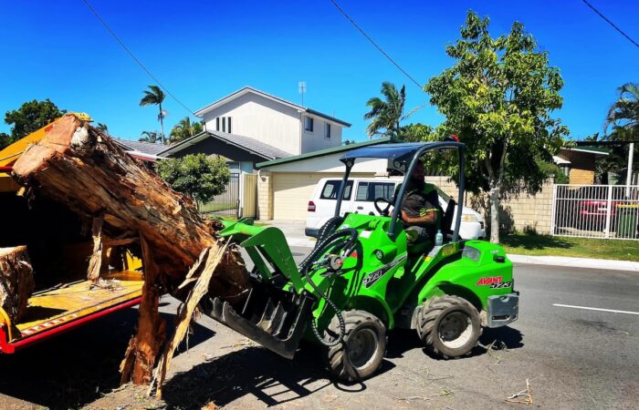 Arborists and landowners are turning to mechanised solutions for preparing of the storm-season workload. Image: Askew Trees
