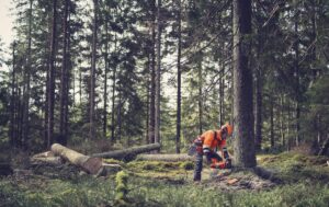 The fuel-injected 564 XP® offers effortless handling across a range of tasks. Image: Husqvarna