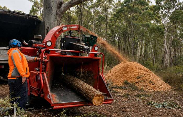 Operators should always check the chipper’s maximum diameter rating before woodchipping. Images: Monitor